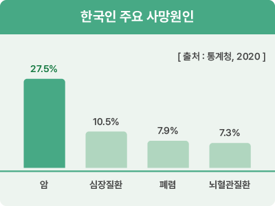 DB암보험